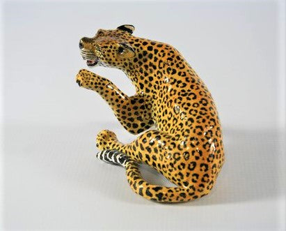 Striking leopard with twisted body & open mouth