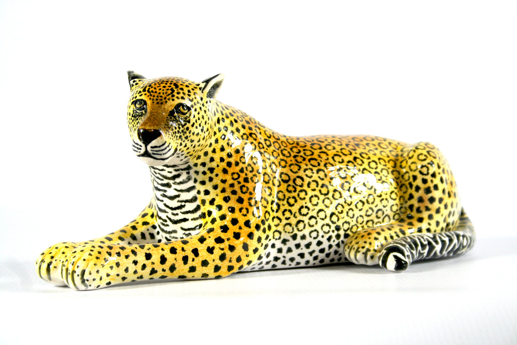 Leopard Lying Down