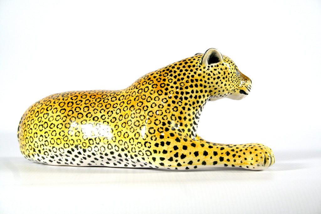 Leopard Lying Down