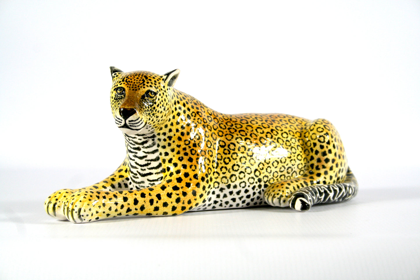 Leopard Lying Down