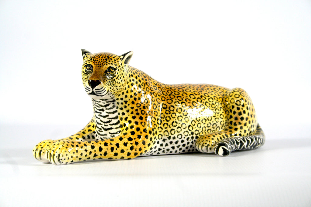 Leopard Lying Down