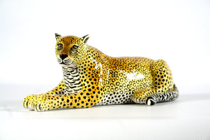 Leopard Lying Down