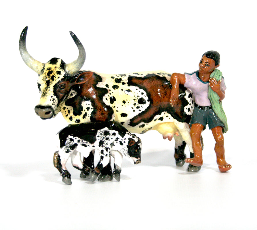 Nguni cow and calf with shepherd in purple top and grey shorts