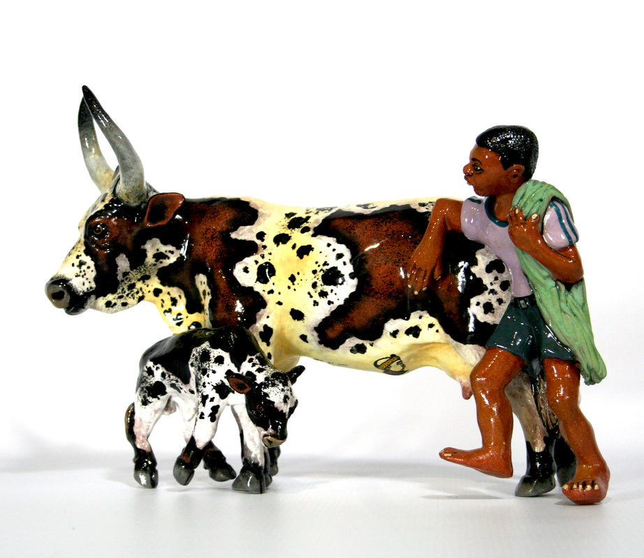 Nguni cow and calf with shepherd in purple top and grey shorts