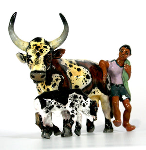 Nguni cow and calf with shepherd in purple top and grey shorts