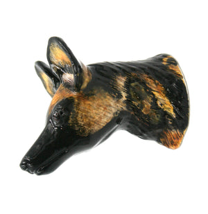 Wild dog magnet