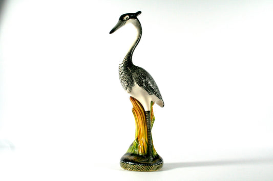 Black-headed heron
