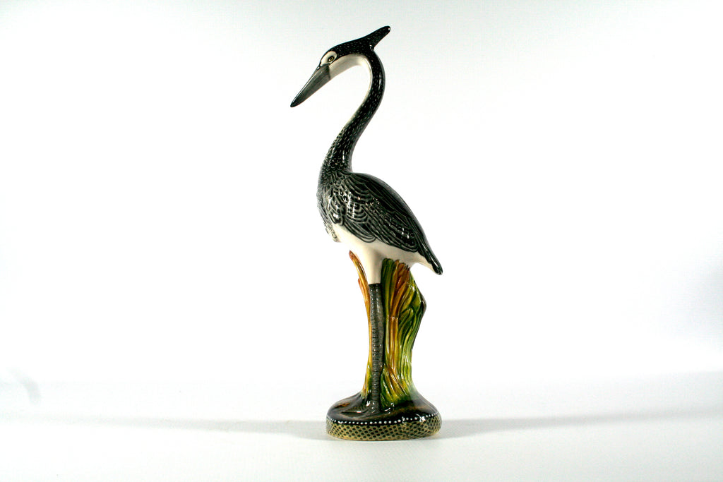 Black-headed heron