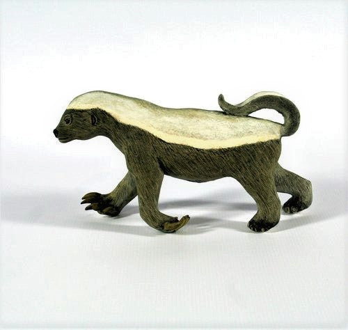 Medium honey badger