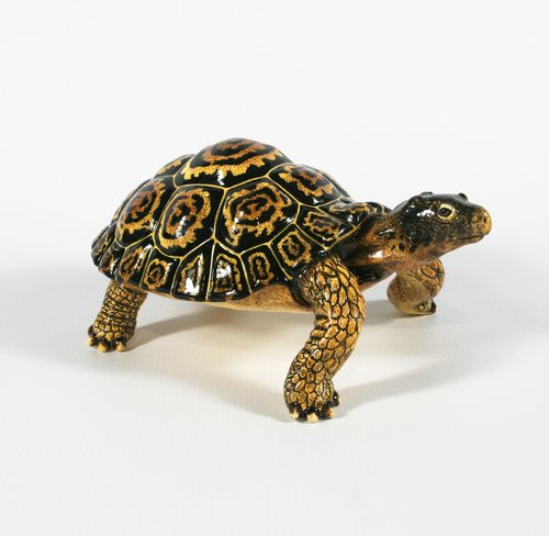 Medium leopard tortoise