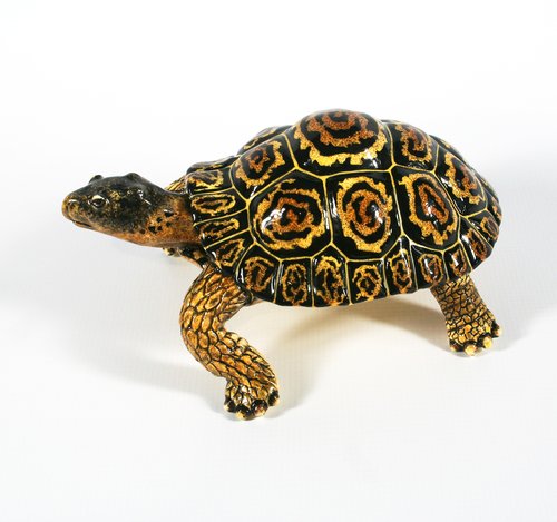Medium leopard tortoise