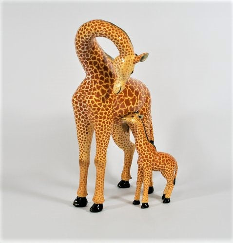 Giraffe mother & calf