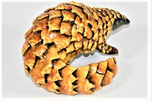 Small standing pangolin with curled tail