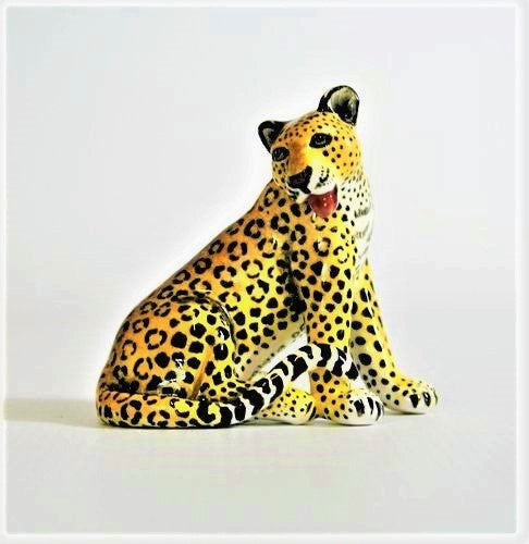 Small sitting leopard with tilted head and open mouth