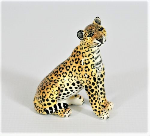 Small sitting leopard with closed mouth