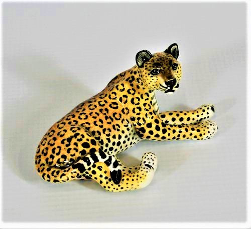 Small lying down leopard with raised head