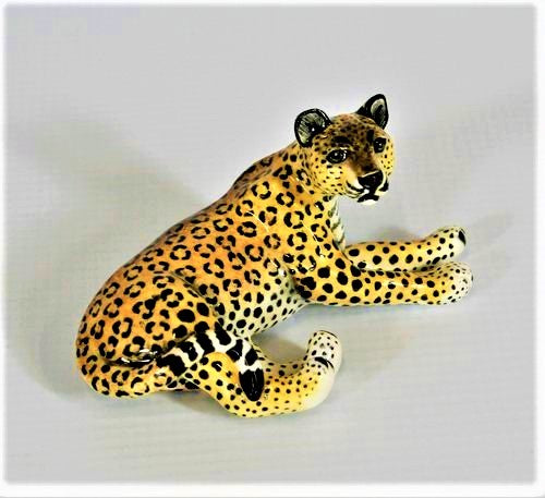 Small lying down leopard with raised head