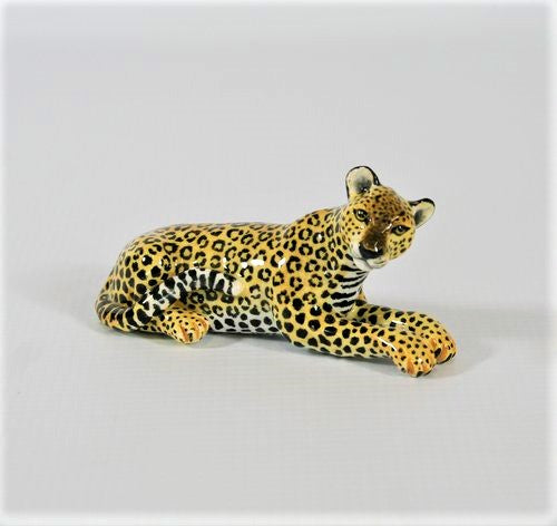 Small lying down leopard with tilted head