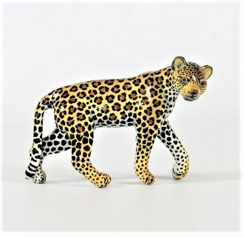 Small walking leopard with tilted head