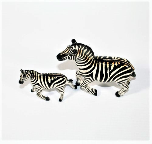 Zebra mother and baby 1
